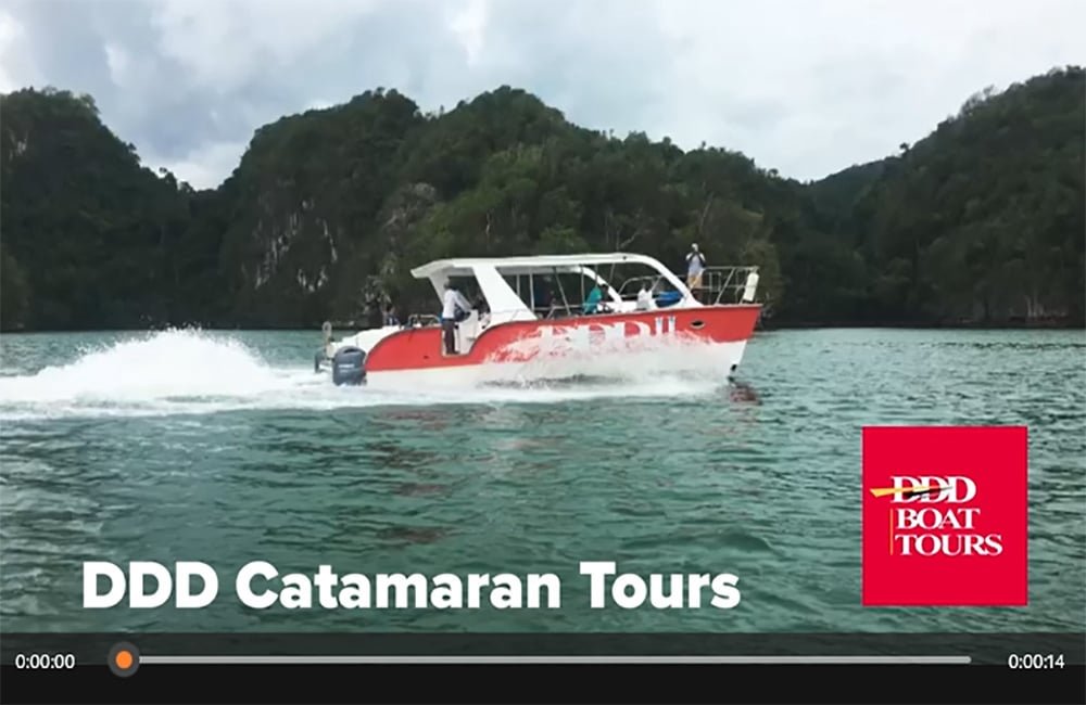 Mejores Excursiones de Barco en Samana hasta Parque Los Haitises y la isla Cayo Levantado